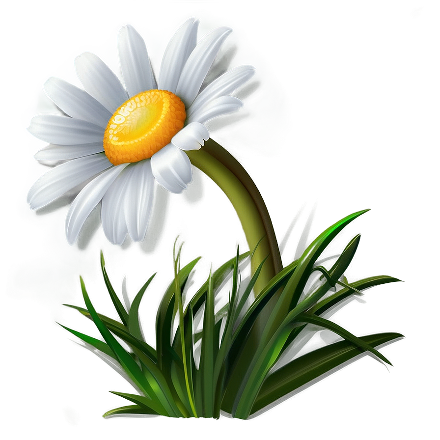 Daisy Vector Png Tvq94 PNG Image