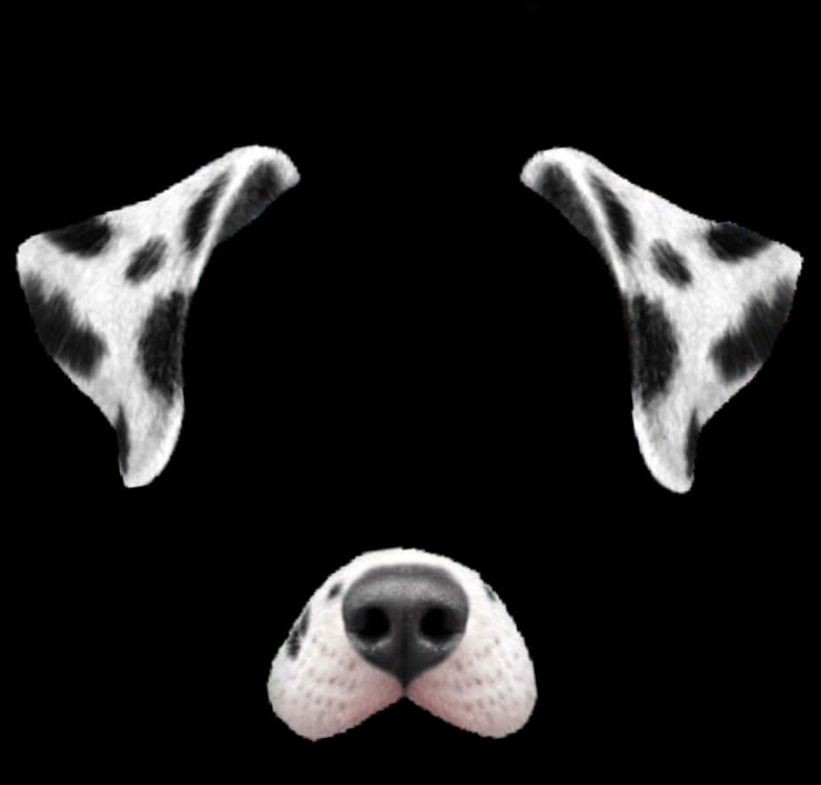 Dalmatian Dog Filter Elements PNG Image