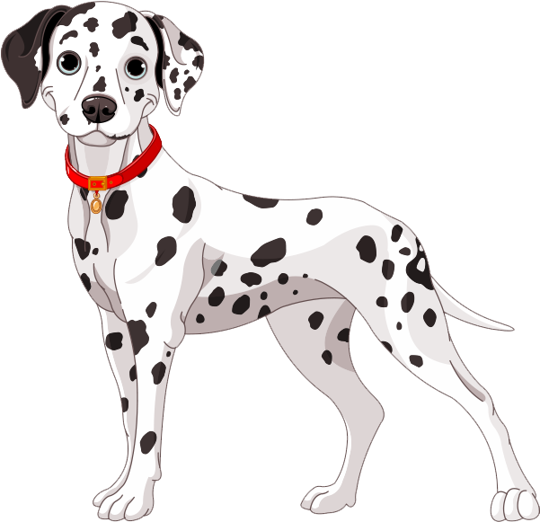 Dalmatian Dog Illustration PNG Image