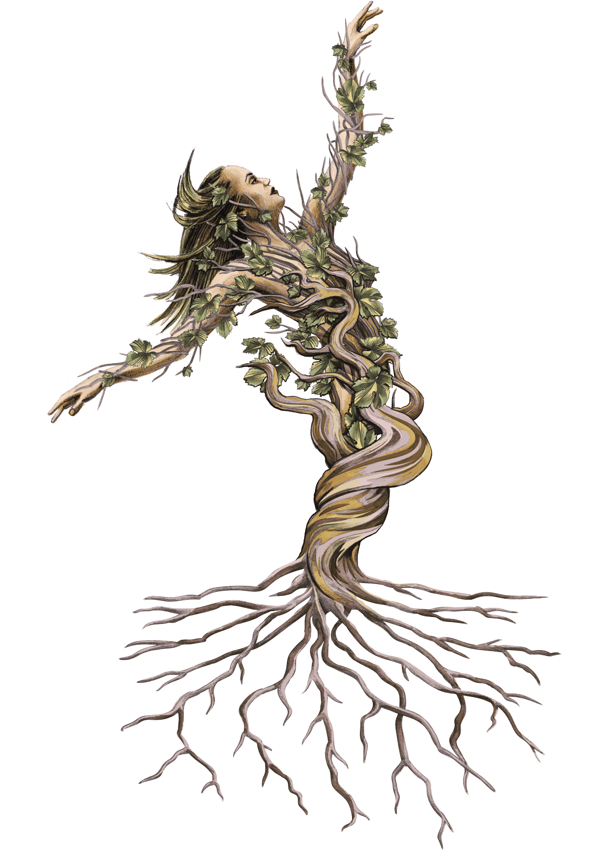 Dancing Vine Woman Artwork PNG Image