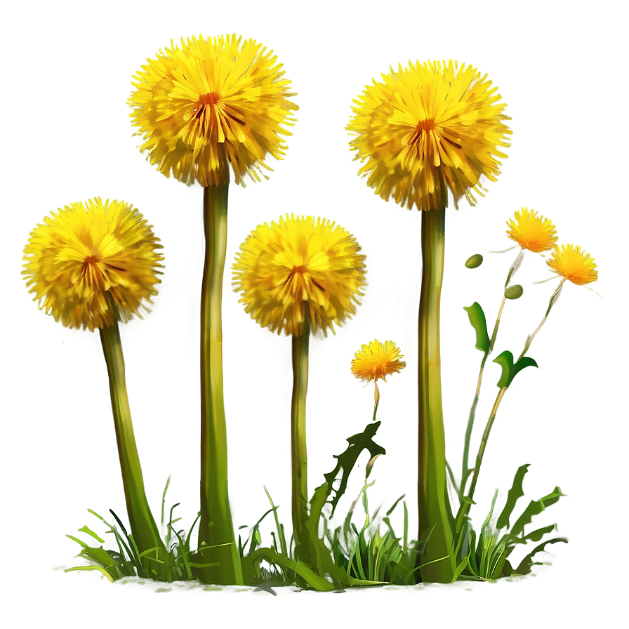 Dandelion Landscape Scene Png 05242024 PNG Image