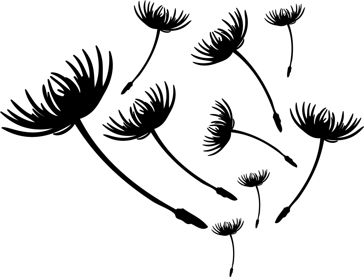 Dandelion Seeds Silhouette PNG Image