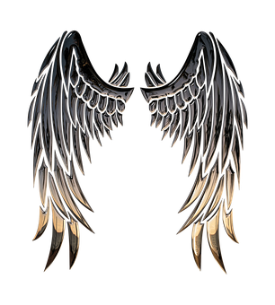 Dark Angel Wings Artwork PNG Image