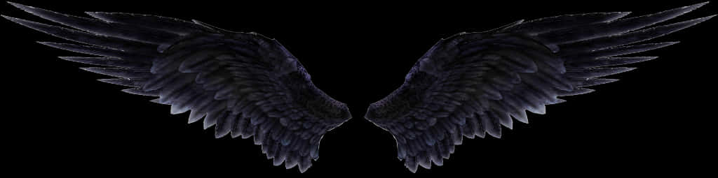 Dark Angel Wings Spread PNG Image