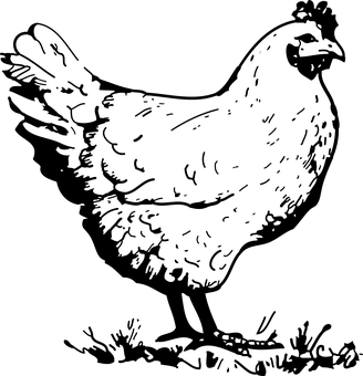 Dark Blank Canvas PNG Image