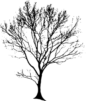 Dark Blank Canvas PNG Image