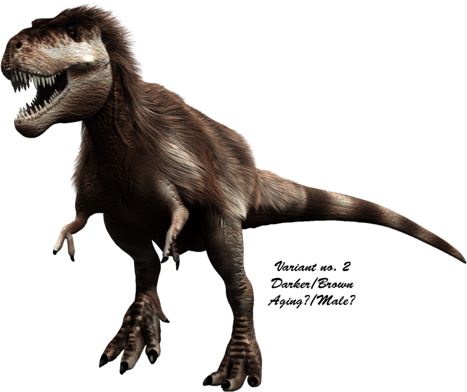 Dark Brown Tyrannosaurus Rex Variant PNG Image