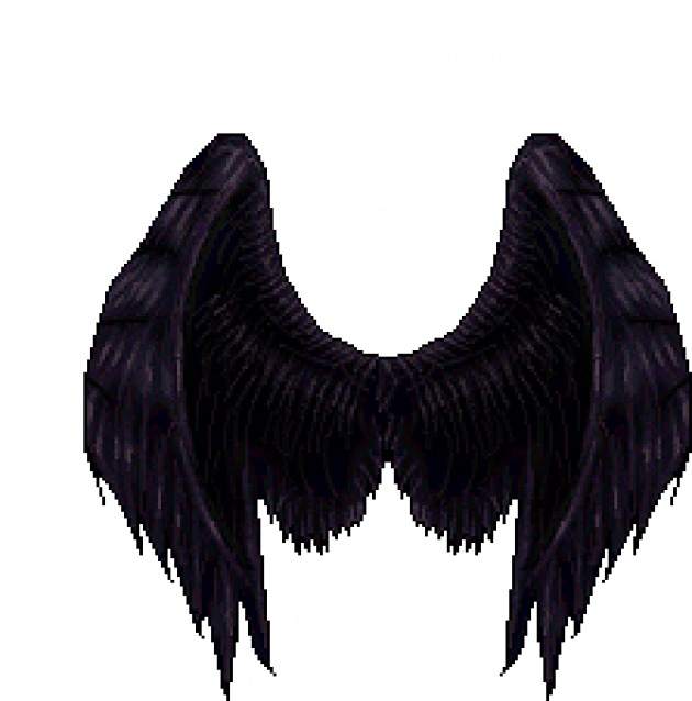 Dark_ Feathered_ Wings_ Artwork PNG Image