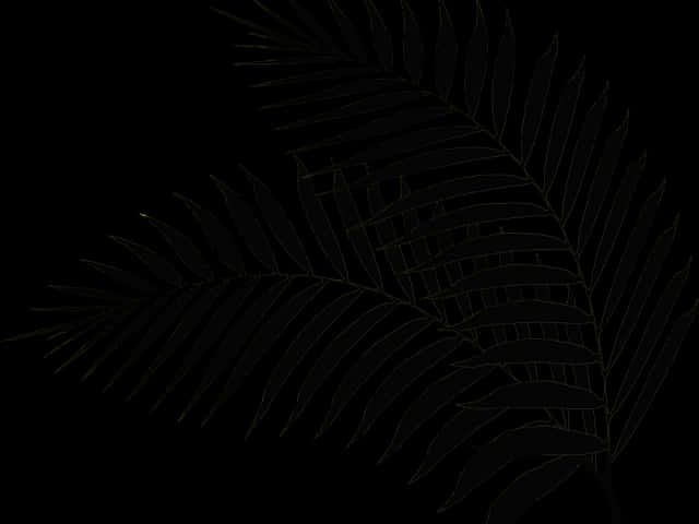 Dark_ Fern_ Leaf_ Outline PNG Image