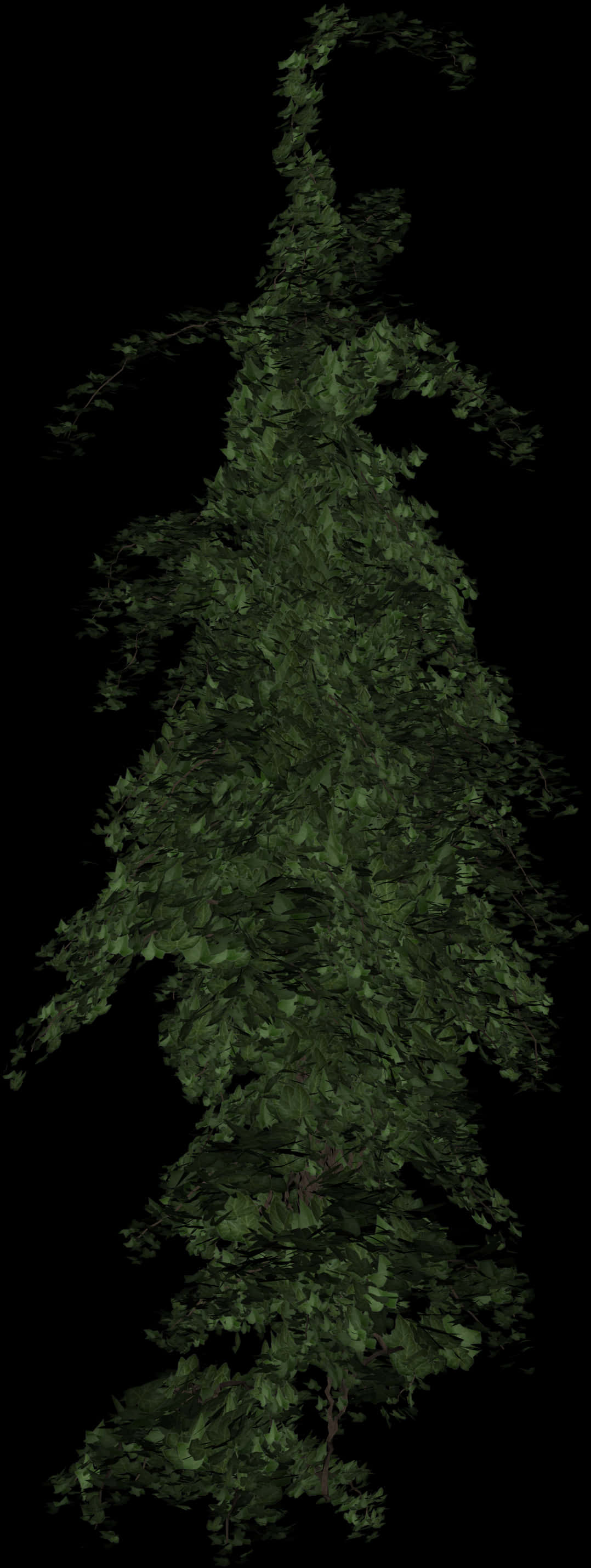 Dark Green Foliage Texture PNG Image