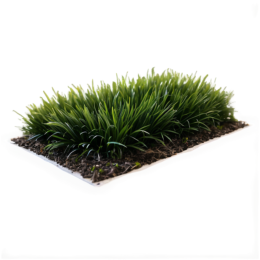 Dark Green Grass Png 04292024 PNG Image