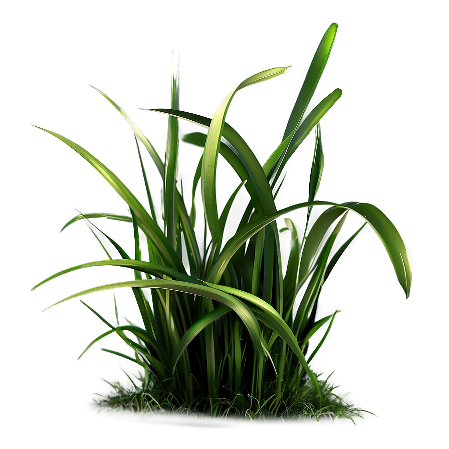 Dark Green Grass Png 04292024 PNG Image