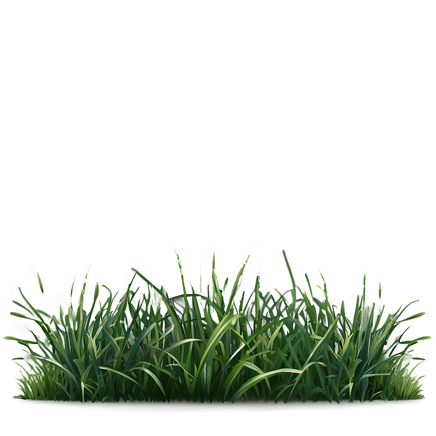 Dark Green Grass Png 06262024 PNG Image