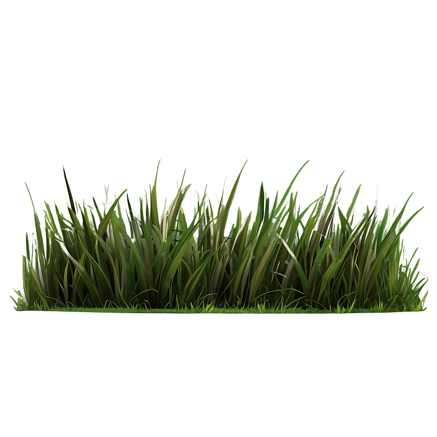 Dark Green Grass Png 98 PNG Image