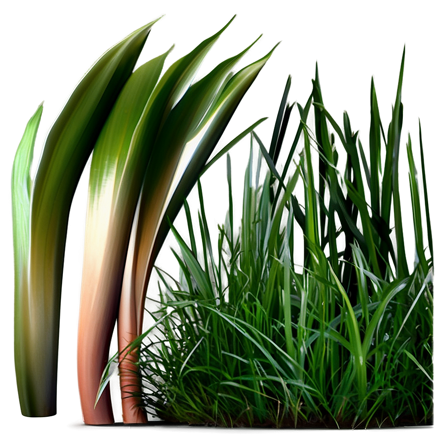 Dark Green Grass Png Oci75 PNG Image