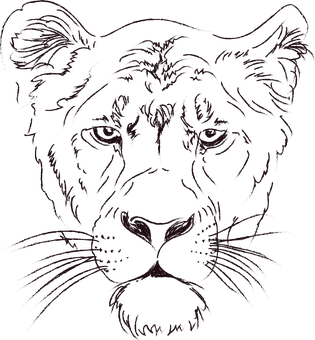 Dark Lion Sketch Art PNG Image