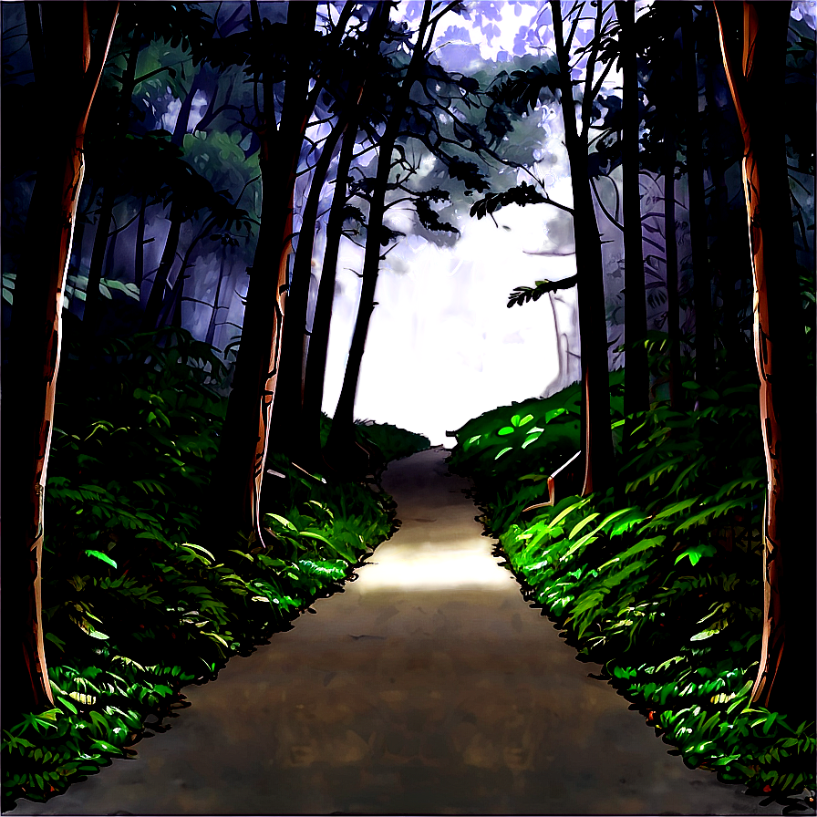 Dark Misty Forest Path Png 63 PNG Image