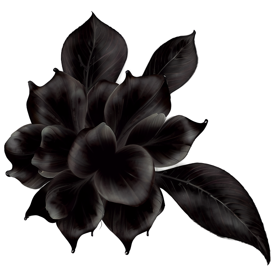 Dark Petals Png Tsf PNG Image