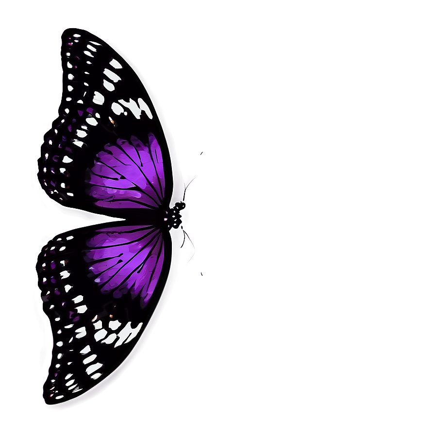 Dark Purple Butterfly Png Ohl PNG Image