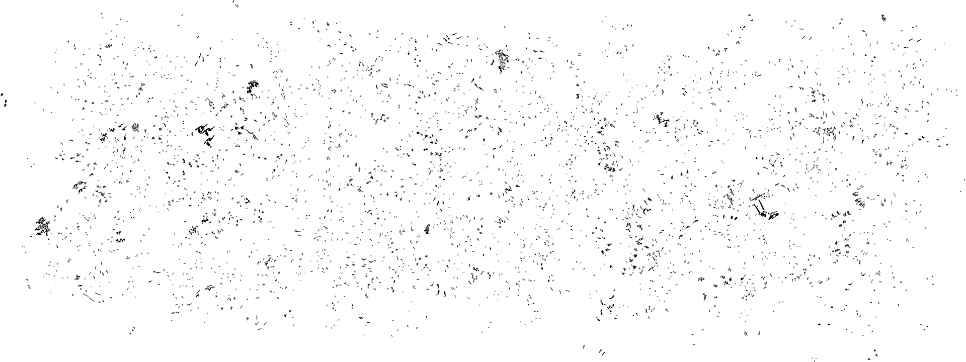 Dark_ Speckled_ Grunge_ Texture PNG Image