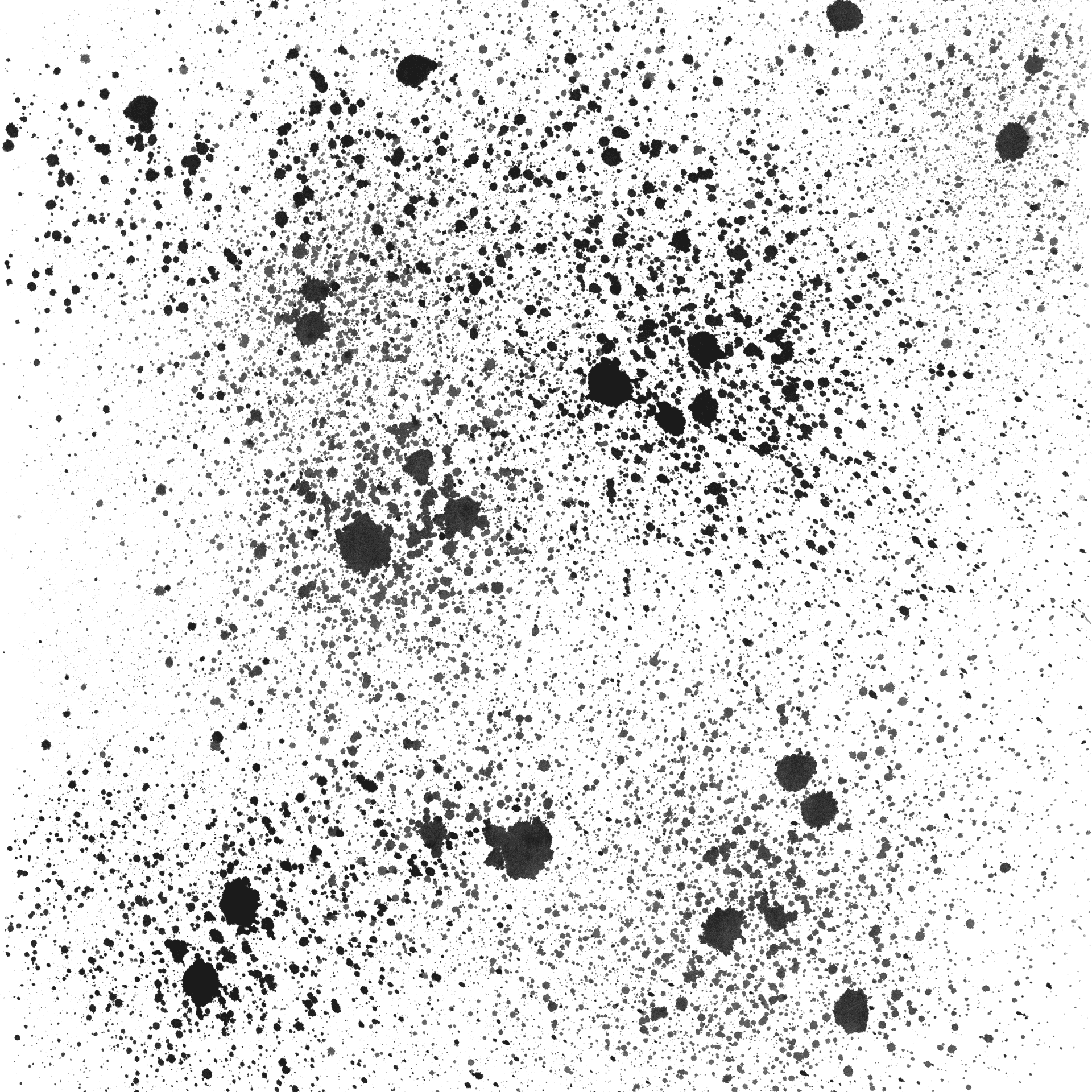 Dark_ Splatter_ Grunge_ Texture PNG Image