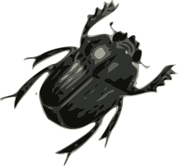 Dark Stylized Beetle Illustration PNG Image