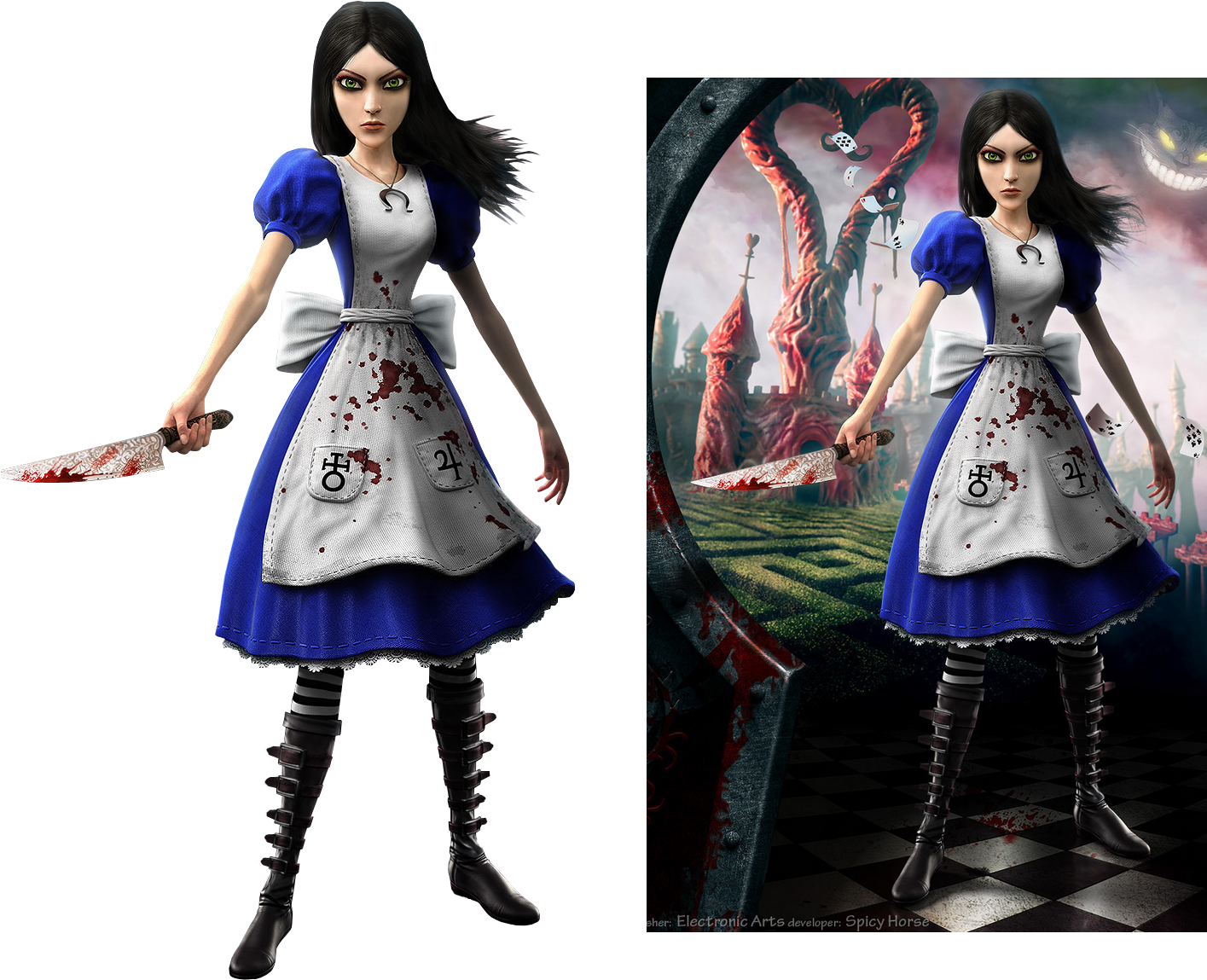 Dark Wonderland Alice PNG Image