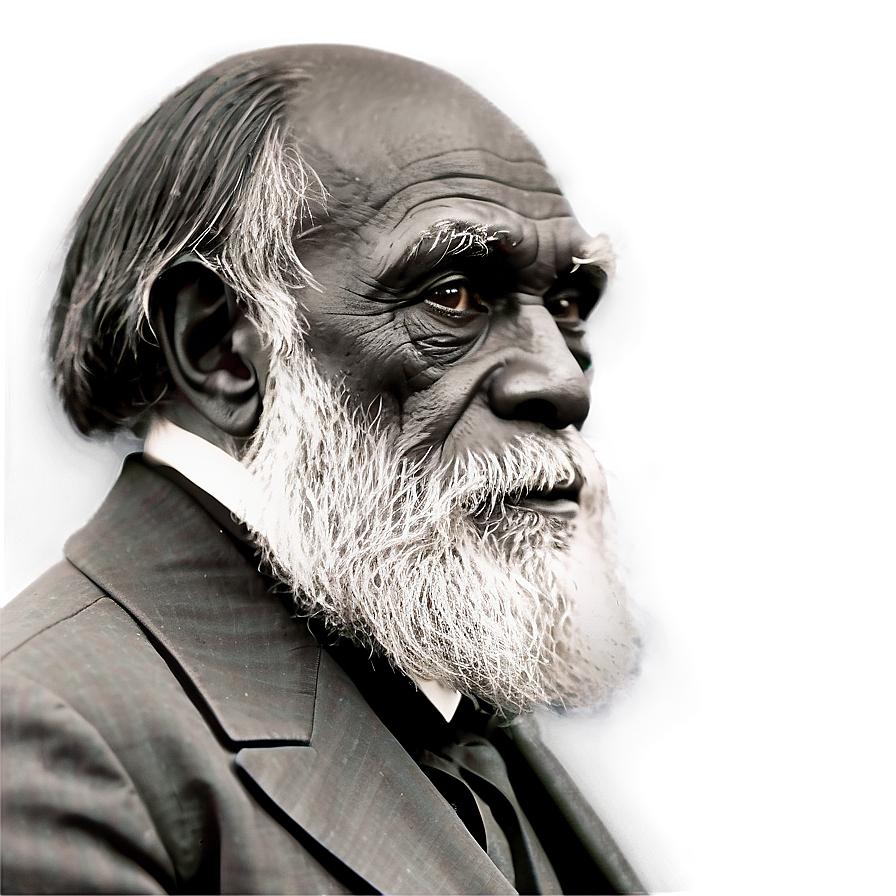 Darwin's Critics And Controversies Png 06252024 PNG Image