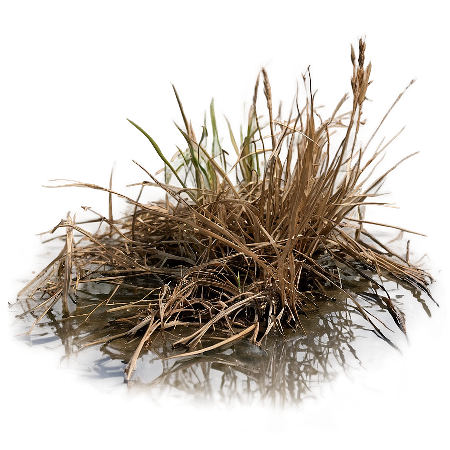 Dead Grass By The River Png 06282024 PNG Image