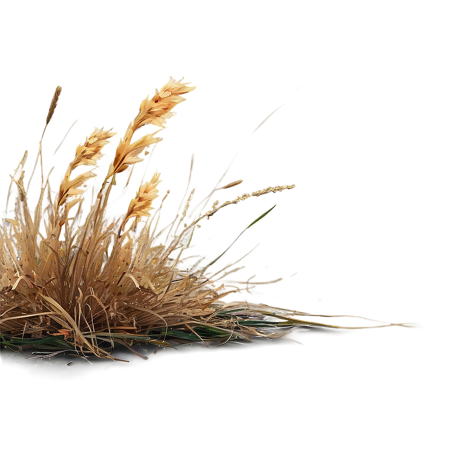 Dead Grass Edge Png 51 PNG Image