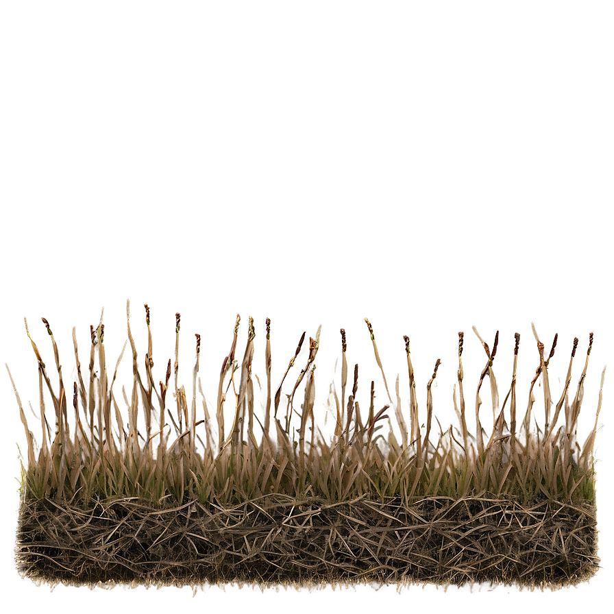 Dead Grass Field Border Png 06282024 PNG Image