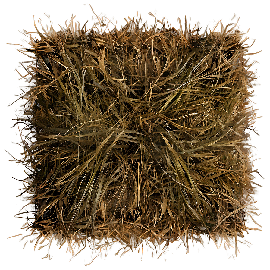 Dead Grass Field Top View Png Bkw53 PNG Image