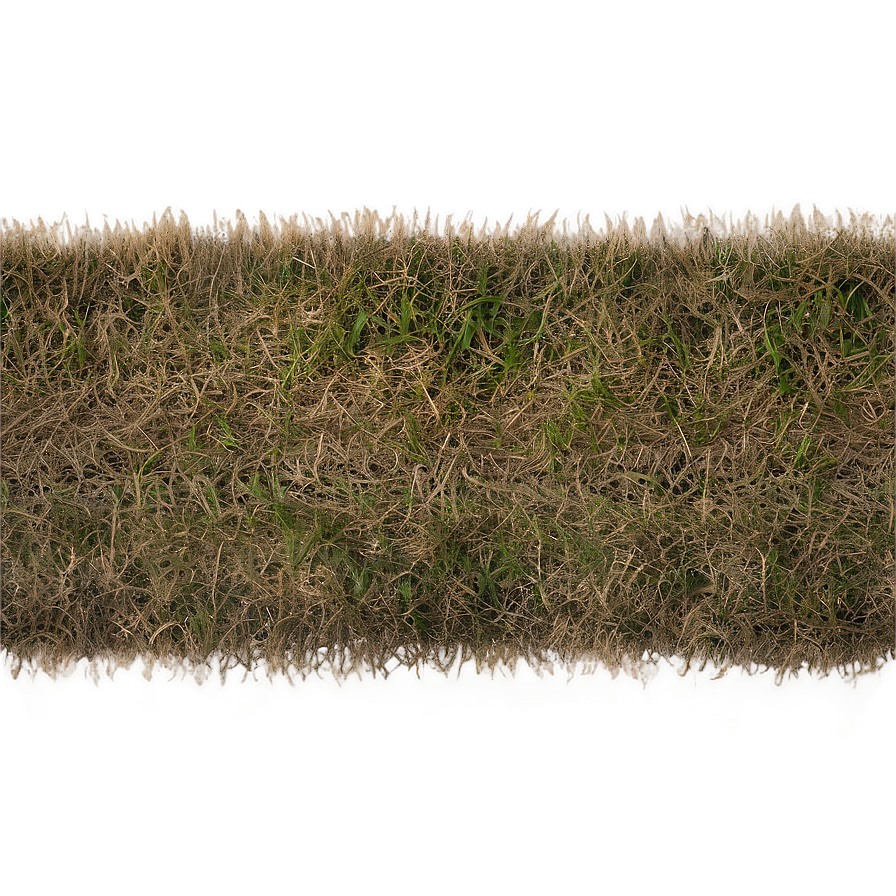 Dead Grass Field Top View Png Rhf41 PNG Image