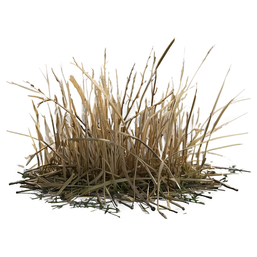 Dead Grass Matte Png Hku33 PNG Image