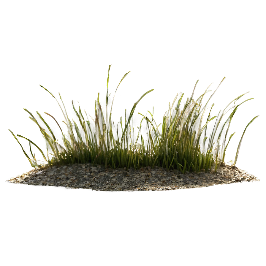 Dead Grass Sward Png Cdw60 PNG Image