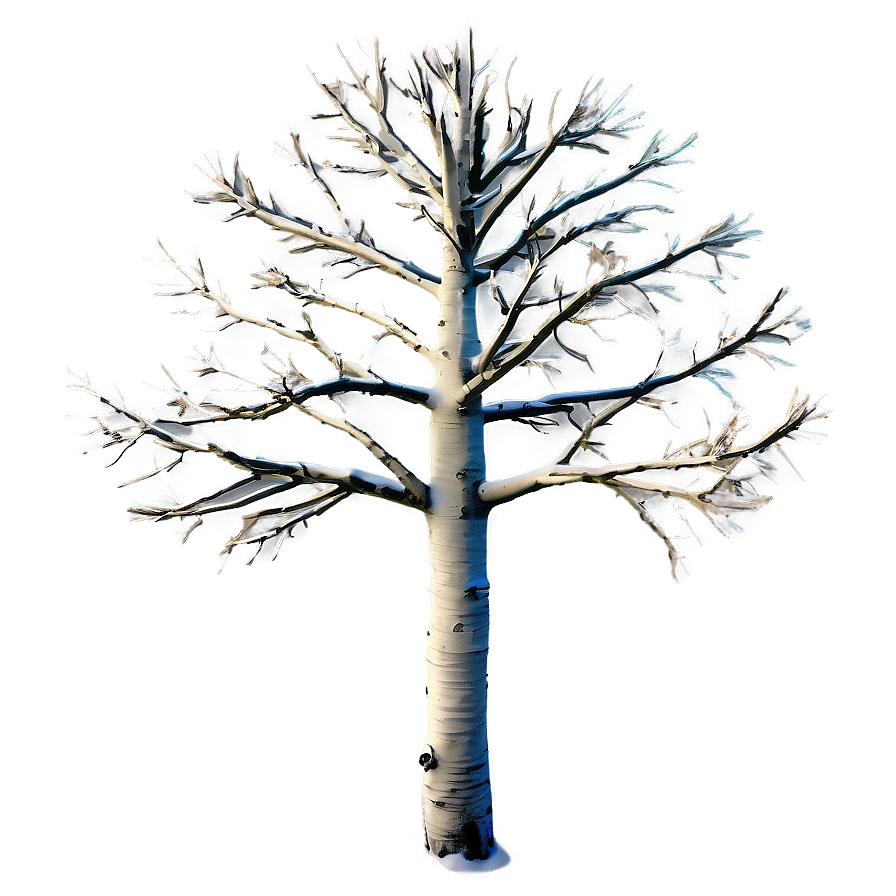 Dead Pine Tree Png Xxj PNG Image