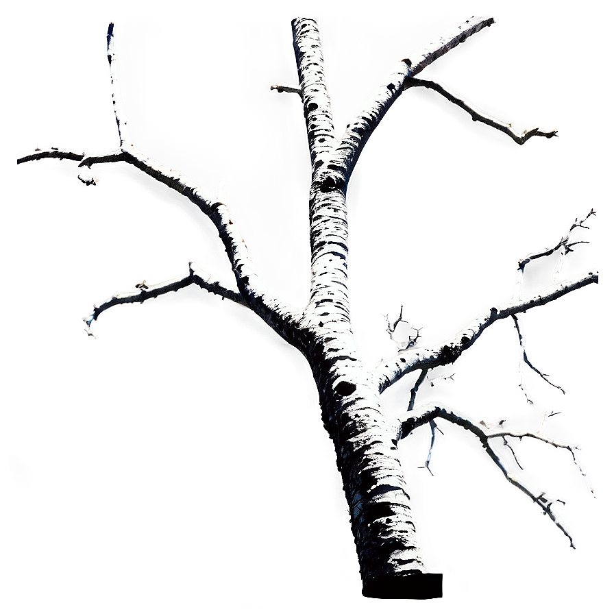 Dead Tree Branch Png 06202024 PNG Image