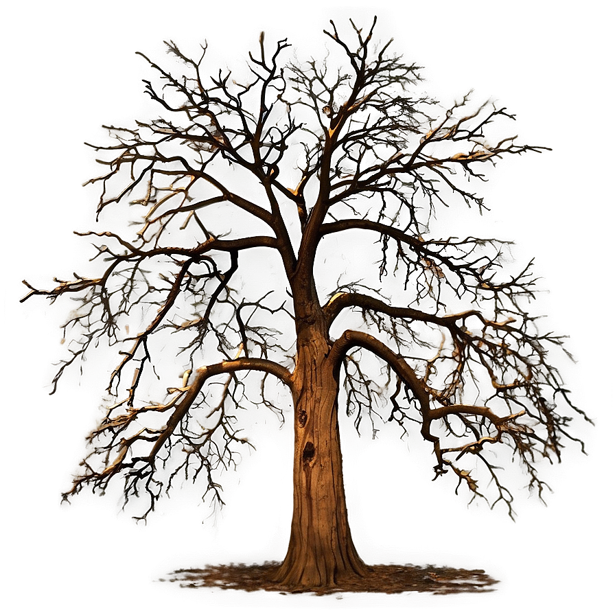 Dead Tree No Leaves Png Gjt PNG Image