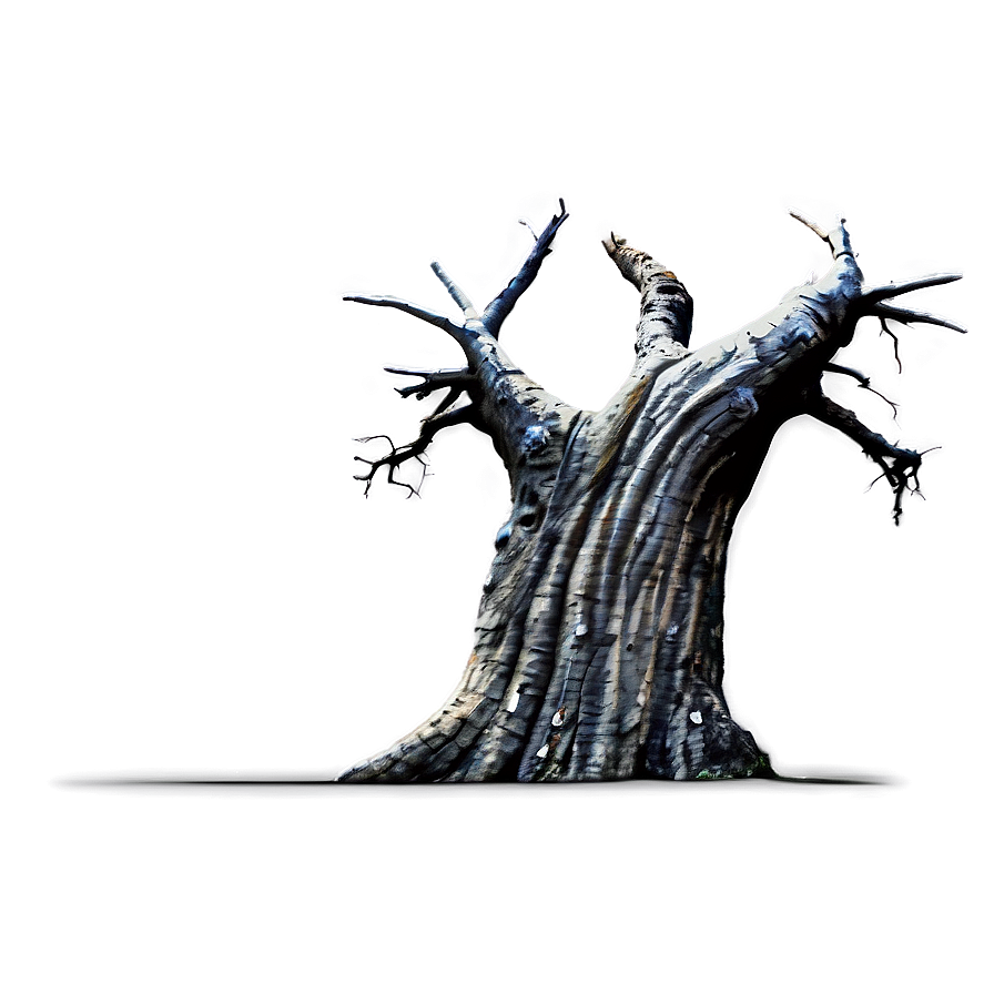 Dead Tree Photography Png Iho PNG Image