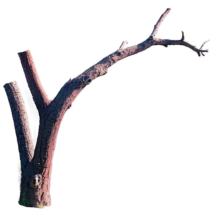 Dead Tree Sunset Png Xmu PNG Image