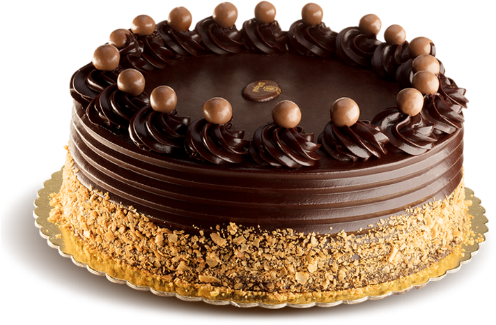 Decadent Chocolate Cake PNG Image