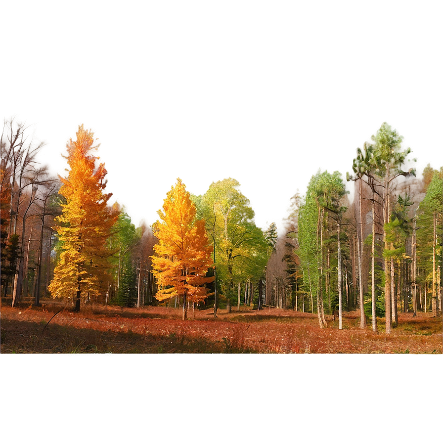 Deciduous Forest Panorama Png Gfe PNG Image