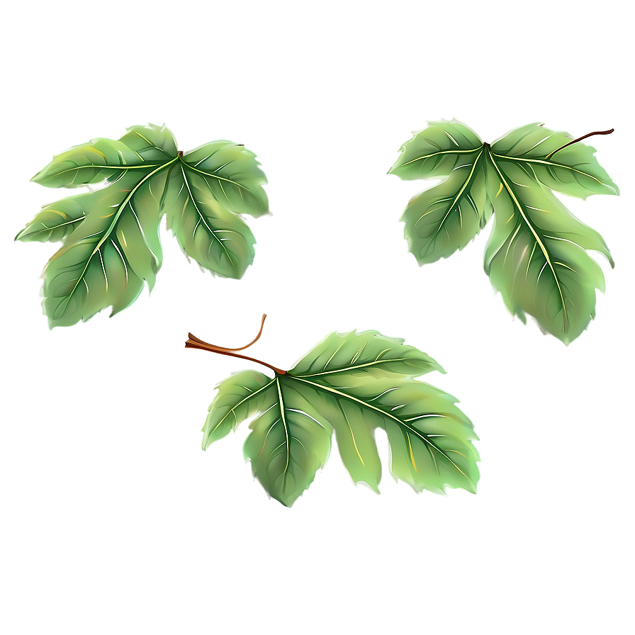 Deciduous Leaves Falling Png Duw PNG Image