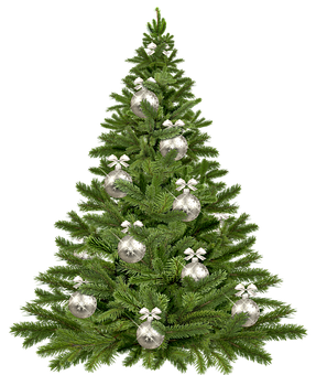 Decorated Christmas Tree Black Background.jpg PNG Image