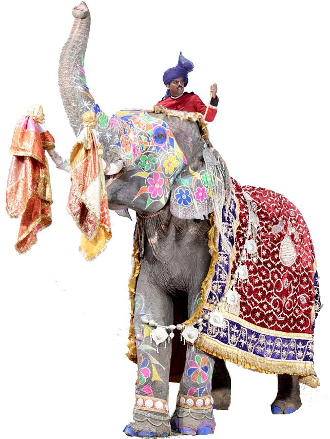 Decorated Festival Elephantand Rider.png PNG Image