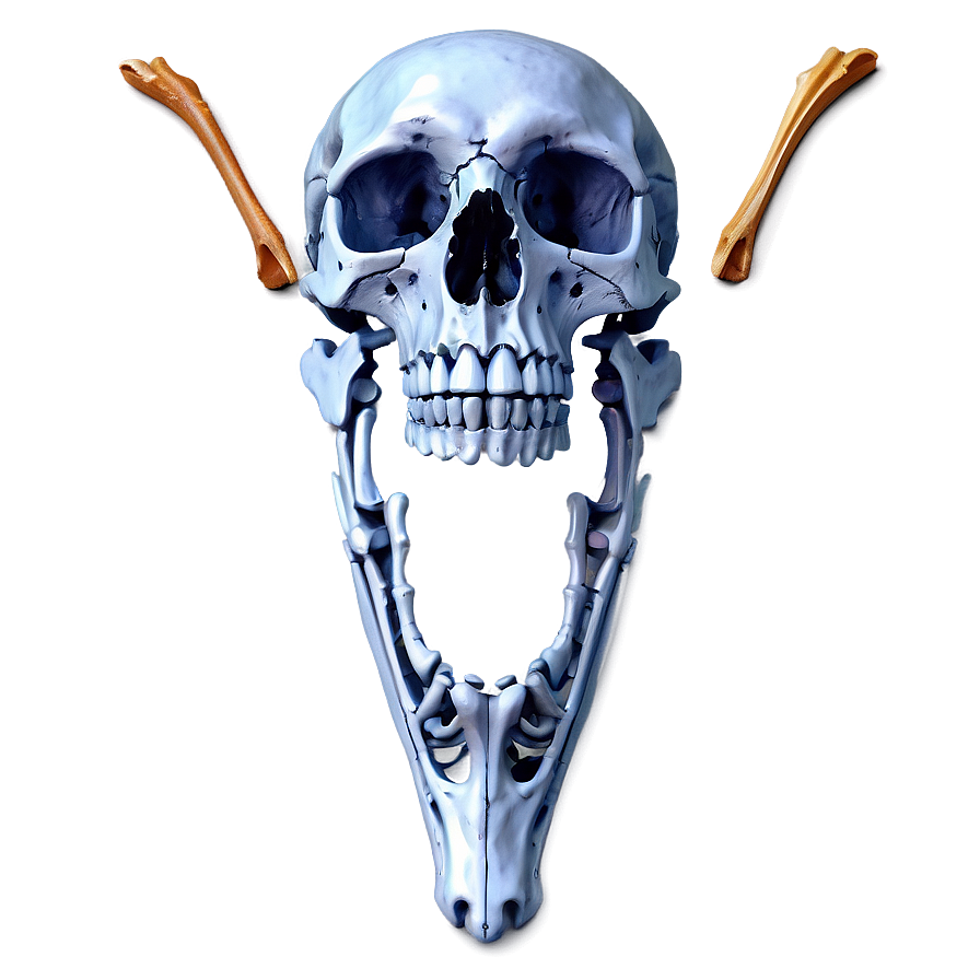 Decorative Bones Png Yyk PNG Image