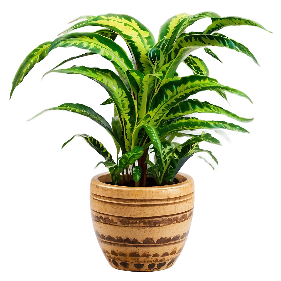 Decorative Floor Plant Png 06282024 PNG Image