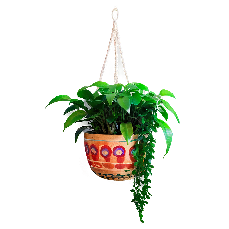 Decorative Hanging Plant Png Dwf PNG Image