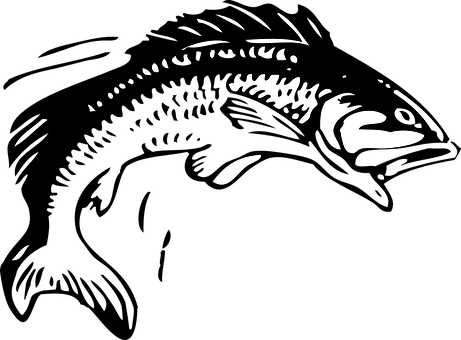 Deep Sea Fish Silhouette PNG Image