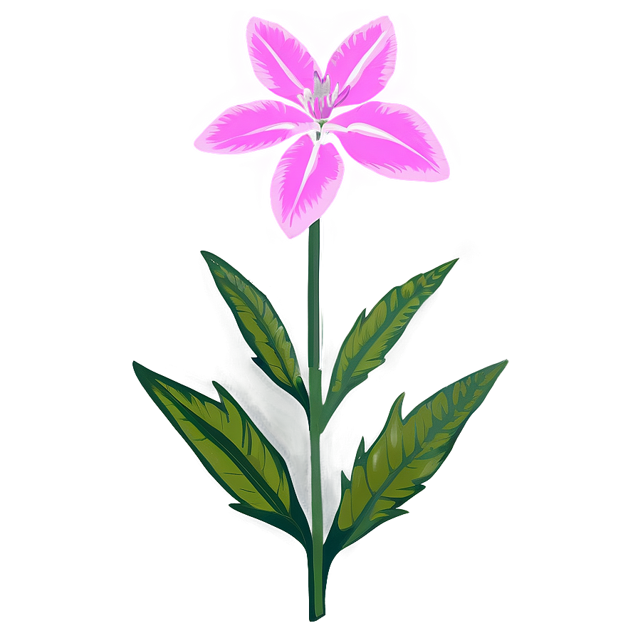 Delaware State Flower Png 87 PNG Image